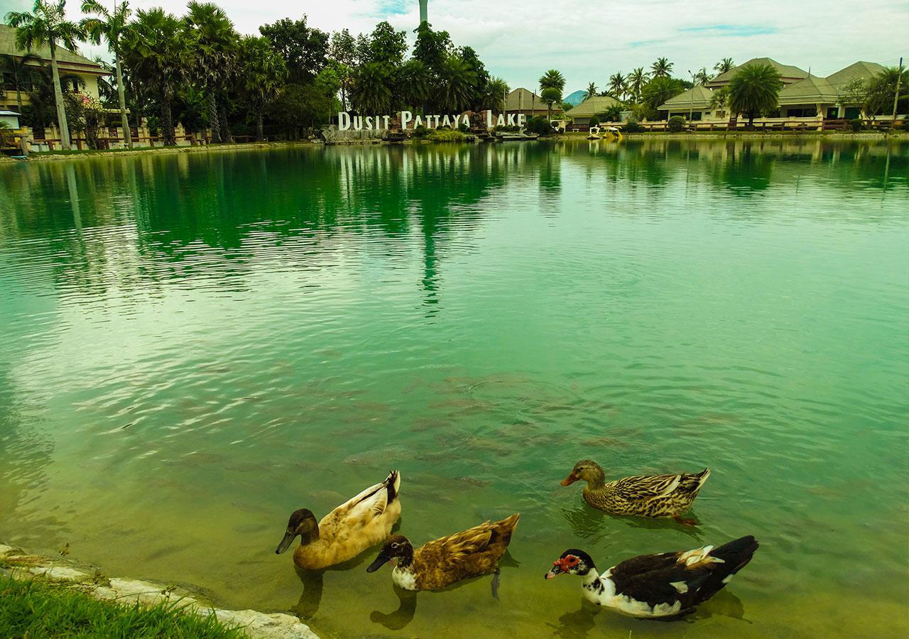 Victoria Villa Madonna Na Chom Thian Dış mekan fotoğraf